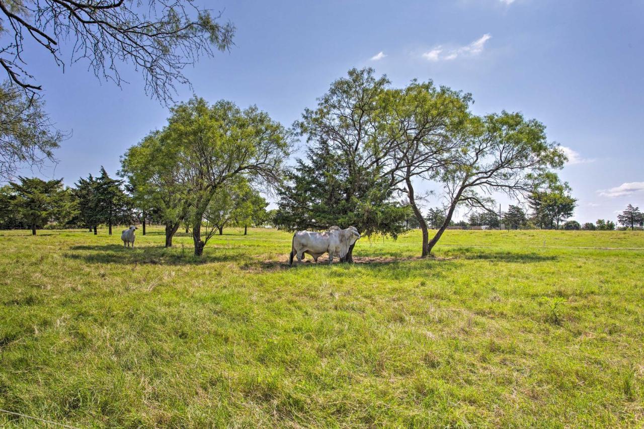Texas Cabin On 130 Acres Walk To Lake Ray Roberts Collinsville Экстерьер фото